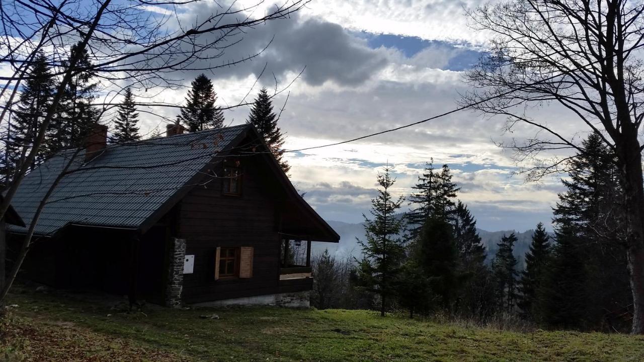 172 Holiday home Zwardon