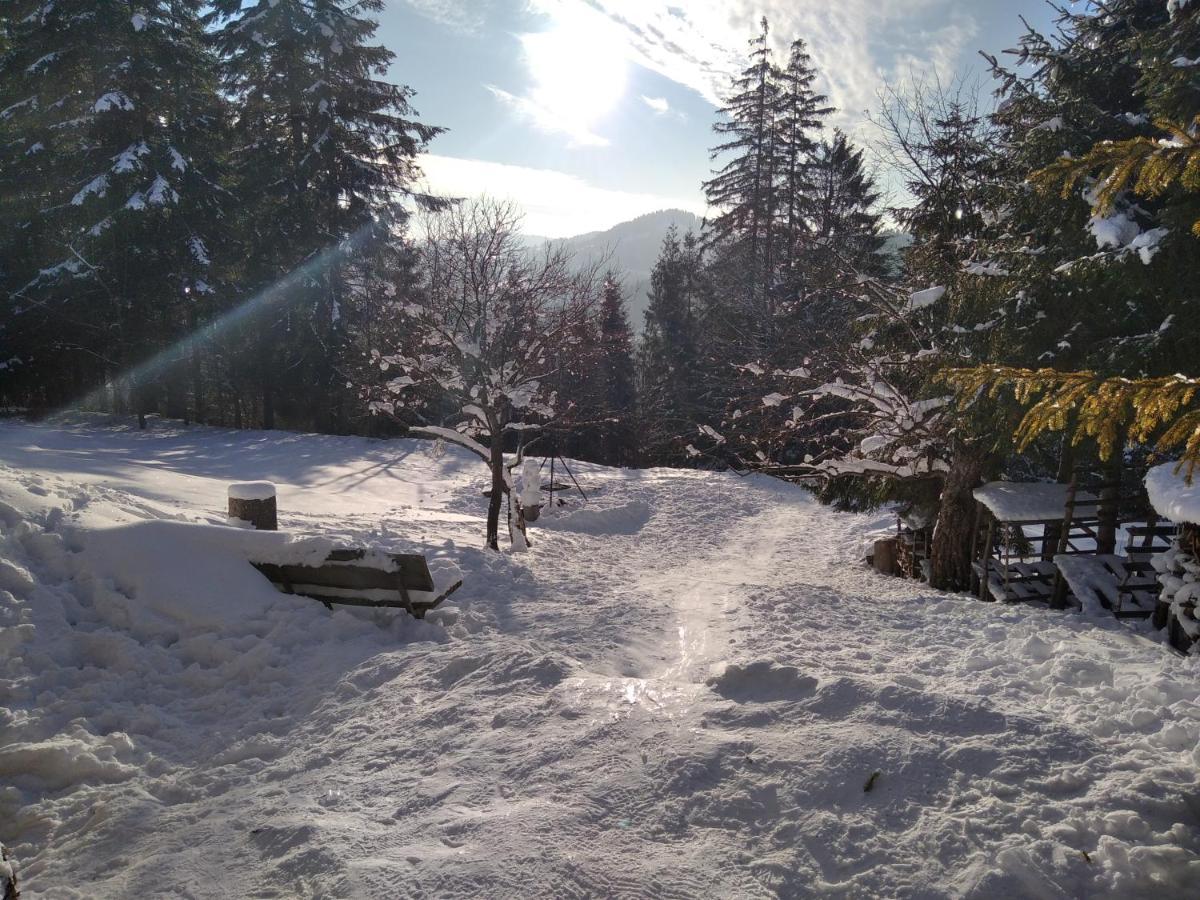 172 Holiday home